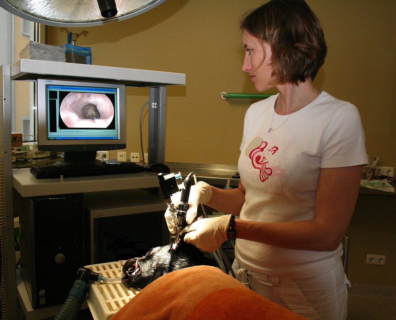 endoskopische Ohrspülung